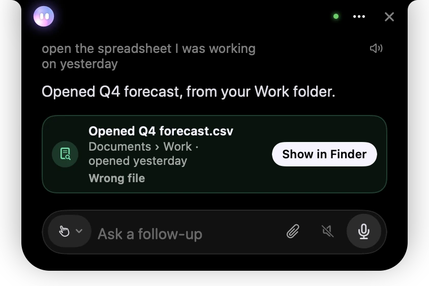 Find anything: the receipt after a clear match opened, with Show in Finder and Wrong file