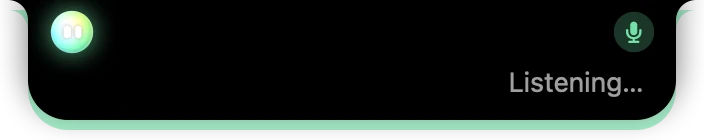 Holding Control+Option: green mic badge