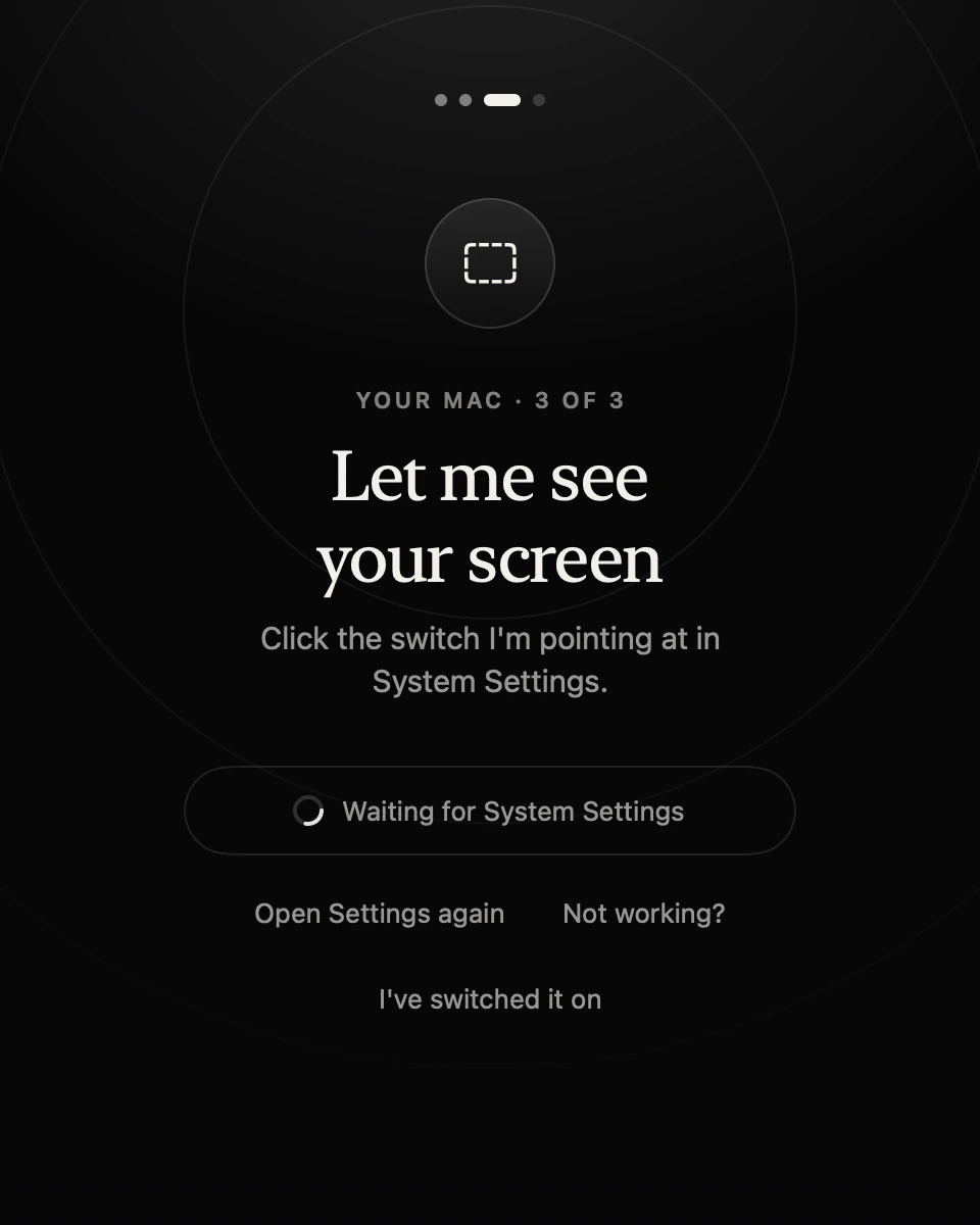 Setup: 'Let me see your screen', the Screen Recording permission